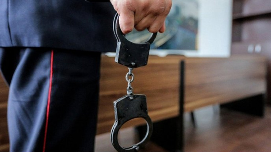 Под Воронежем главный ветеринар района получил суровый срок за взятки и бизнес на службе