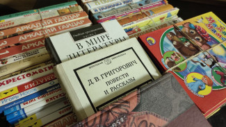 «Единая Россия» обеспечит Донбасс и освобождённые территории русской литературой