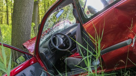 В Воронежской области в результате ДТП с деревом пострадали 4 человека