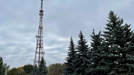 Воронежцев предупредили о перебоях вещания на ТВ и радио
