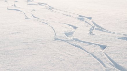 Воронежцы: водитель в мороз выгнал девочку из маршрутки