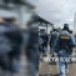 500 арендаторов устроили протест из-за закрытия Алексеевского рынка в Воронеже