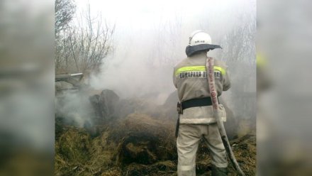 500 тонн сена и соломы сгорели ночью в воронежском посёлке