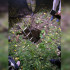Под Воронежем провалился в яму семилетний ребёнок