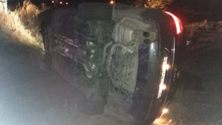 В Воронежской области 33-летний водитель погиб при опрокидывании автомобиля