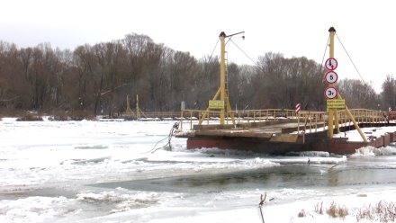 В Воронежской области разведённый понтонный мост отрезал от мира два села