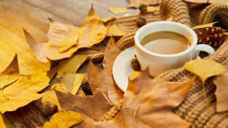 В Воронеж пришло бабье лето