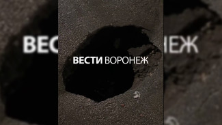 Яму на пешеходной дорожке на Острогожской в Воронеже пообещали залатать