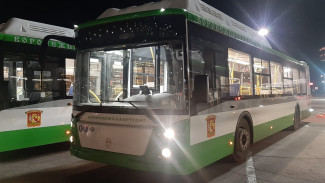 В Воронеж прибыли ещё 29 современных низкопольных автобусов