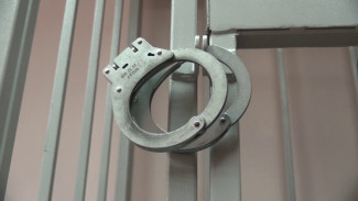 В Воронеже мошенника отправили в колонию на 4 года за обман пенсионеров на 1,5 млн