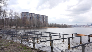 В Воронеже благоустроят парк «Дельфин»