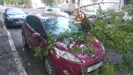 В центре Воронежа во время ночной грозы ветка дерева рухнула на Ford