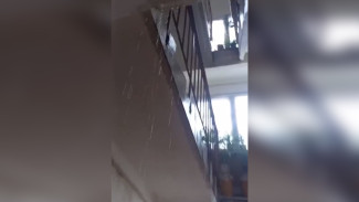 Жители Острогожска пожаловались на водопад высотой в 9 этажей в подъезде дома