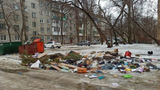 На ремонт мусорных площадок в Левобережном районе Воронежа потратят 50 млн рублей