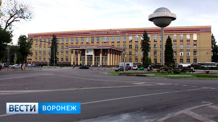 Выпуск в небо 200 голубей и салют. Как Воронежский госуниверситет отметит 100-летие