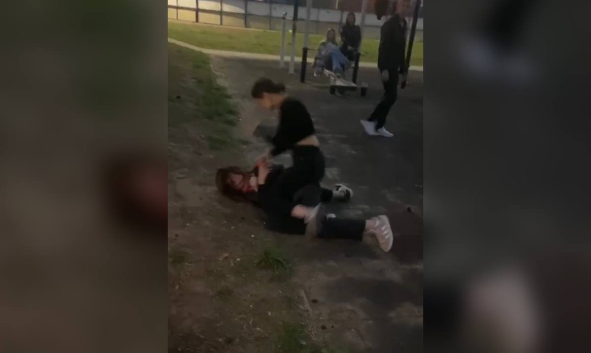 В Воронеже сняли на видео жестокое избиение 14-летней школьницы – Новости  Воронежа и Воронежской области – Вести Воронеж