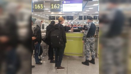 Более 400 нелегальных мигрантов выдворили из Воронежской области в 2025-м