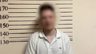 В Воронеже 20-летнего парня отправили в колонию за обман 7 пожилых людей