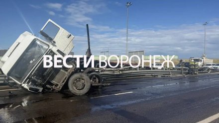 Стали известны подробности жёсткого ДТП с фурой под Воронежем