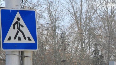 В Воронеже впервые появятся приподнятые пешеходные переходы