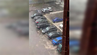 В Воронеже в конце апреля выпал снег: появилось видео