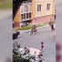 В Воронеже 3-летняя девочка получила сотрясение мозга после столкновения с велосипедистом