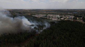 Воронежские спасатели предупредили о пожарной опасности в новогодние праздники