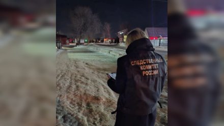 Жителя Острогожска будут судить за выстрел знакомому в голову