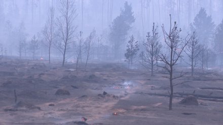 В Воронежской области ликвидировали два крупных пожара