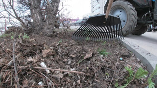 В Воронеже стартовал осенний месячник благоустройства