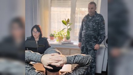 Скрывающийся в карельских лесах воронежец остался без участка из-за долга по алиментам