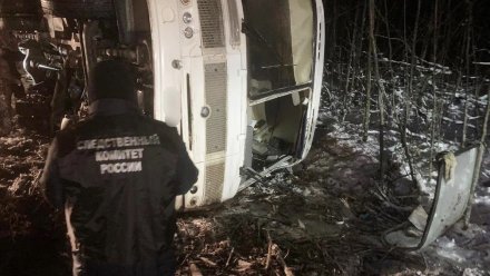 Рейсовый автобус перевернулся на трассе под Воронежем: ранены 4 пассажира