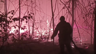 Багровый уикенд-2024. Что известно о пожаре в Ямном под Воронежем