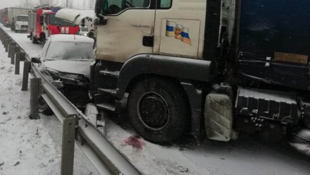 На заснеженной трассе М-4 «Дон» в Воронежской области столкнулись три фуры