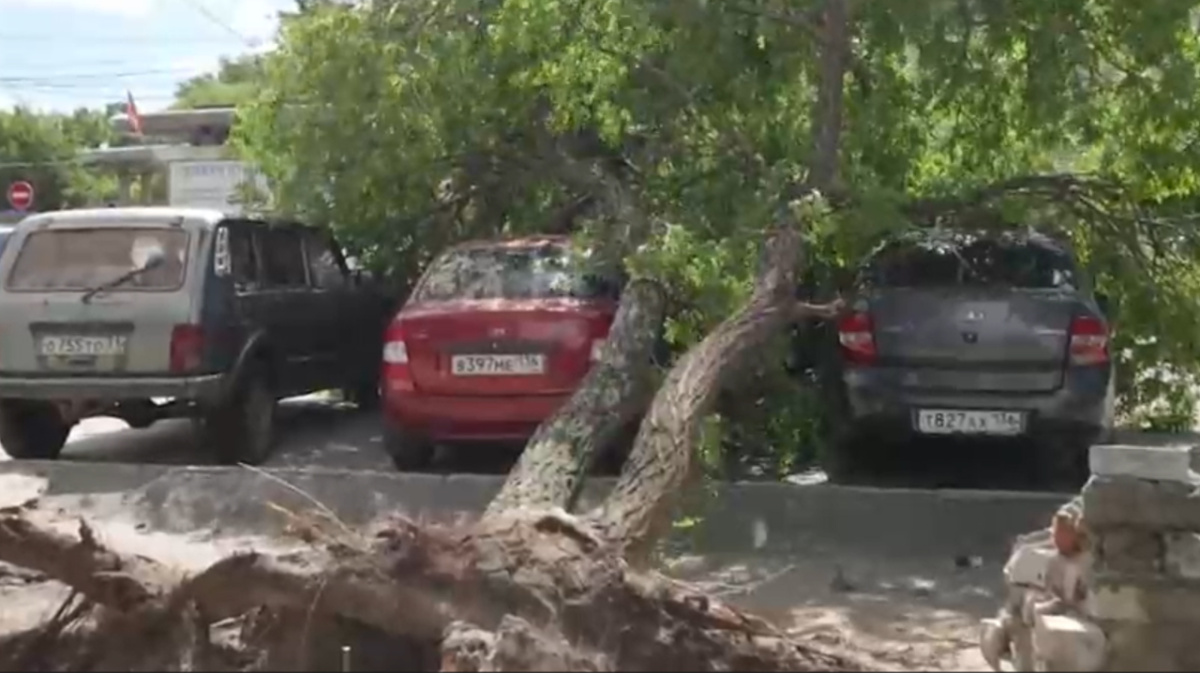 Воронежцам показали последствия урагана | 08.05.2024 | Воронеж - БезФормата