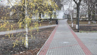 В Кантемировке создадут аллею в память погибших в зоне СВО