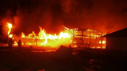 В Воронежской области огонь уничтожил часть Ломовского природного парка
