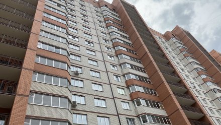 Цены на вторичное жильё в Воронеже выросли на 2,7% за полгода