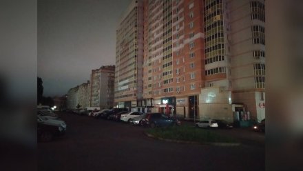 Воронежские энергетики объяснили причину частых перебоев со светом в Северном