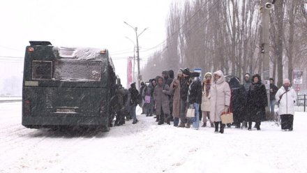 Из-за сильного мороза маршрутки в Воронеже будут прогревать всю ночь