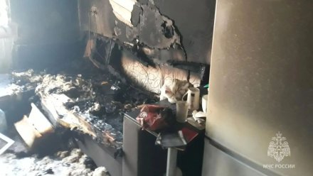 Появились фото с места гибели 44-летнего воронежца при пожаре на Перевёрткина