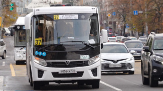 Искусственный интеллект начнёт следить за оплатой проезда в воронежских маршрутках