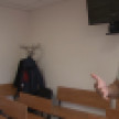 Потерявший почти всю пасеку из-за химикатов пчеловод обратился в воронежский суд