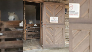 В Воронежской области нашли незаконный зоопарк