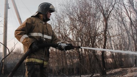 В Лискинском районе Воронежской области ликвидировали крупный ландшафтный пожар