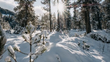 Синоптики рассказали, когда растает снег в Воронежской области