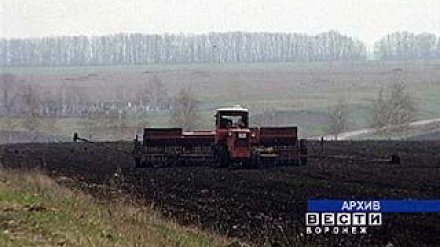 На полях Воронежской области посевная начнется заново