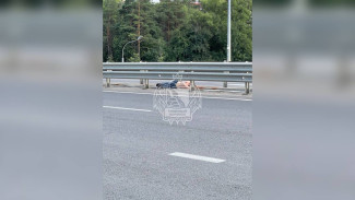 Мужчина упал с моста на оживлённую дорогу в Воронеже