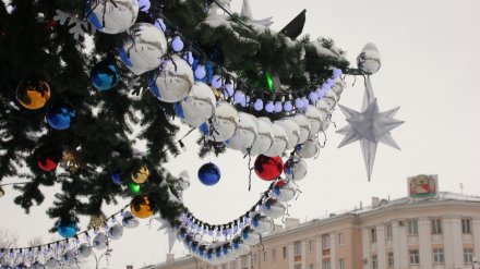 В центре Воронежа ограничат парковку из-за детской ёлки