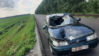 В Воронежской области 57-летний пешеход попал под колёса ВАЗа